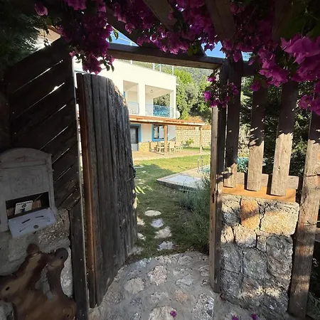 Faralyus 2 *