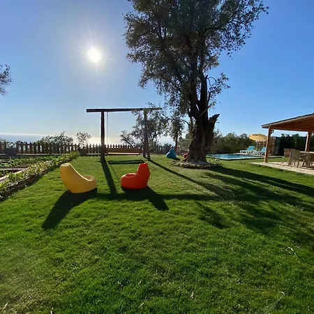 Faralyus 2 * Fethiye